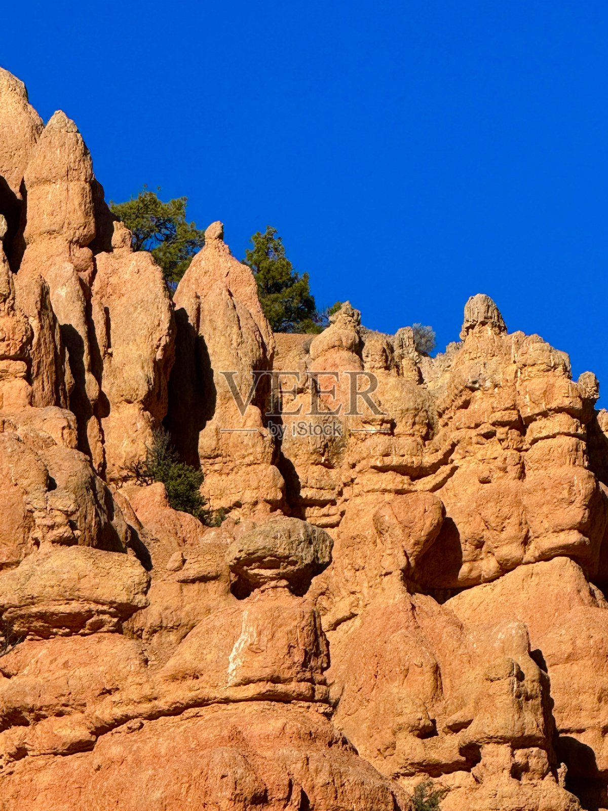 布莱斯峡谷国家公园照片摄影图片