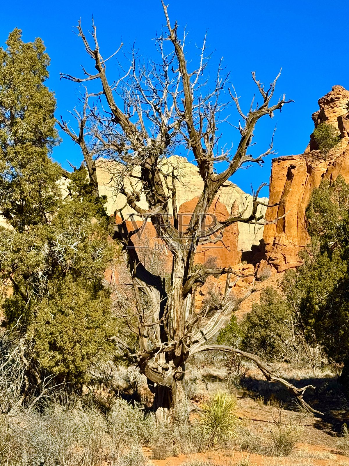 科达奇罗姆盆地照片摄影图片
