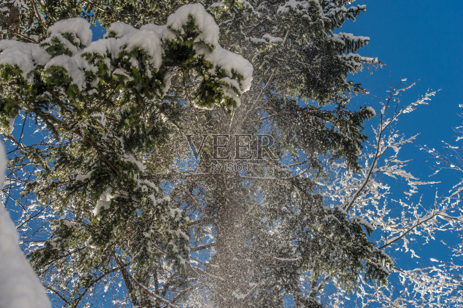 特伦蒂诺的雪照片摄影图片