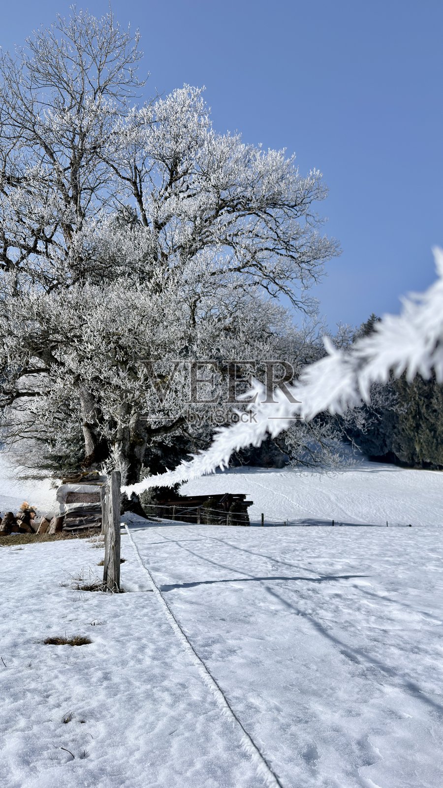 冬季景象照片摄影图片
