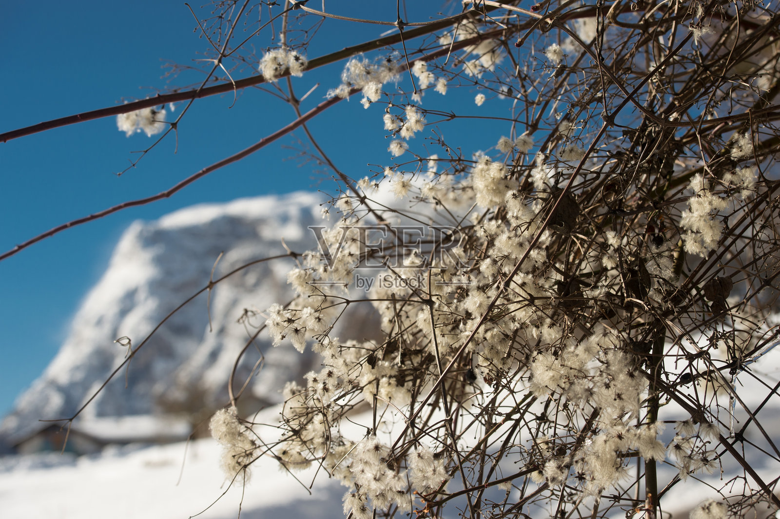特伦蒂诺的雪景照片摄影图片