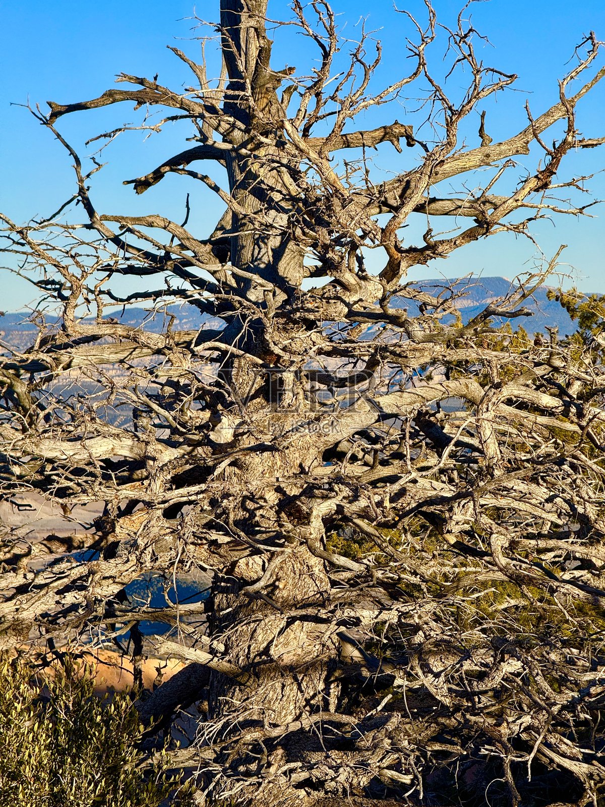 布莱斯峡谷国家公园照片摄影图片