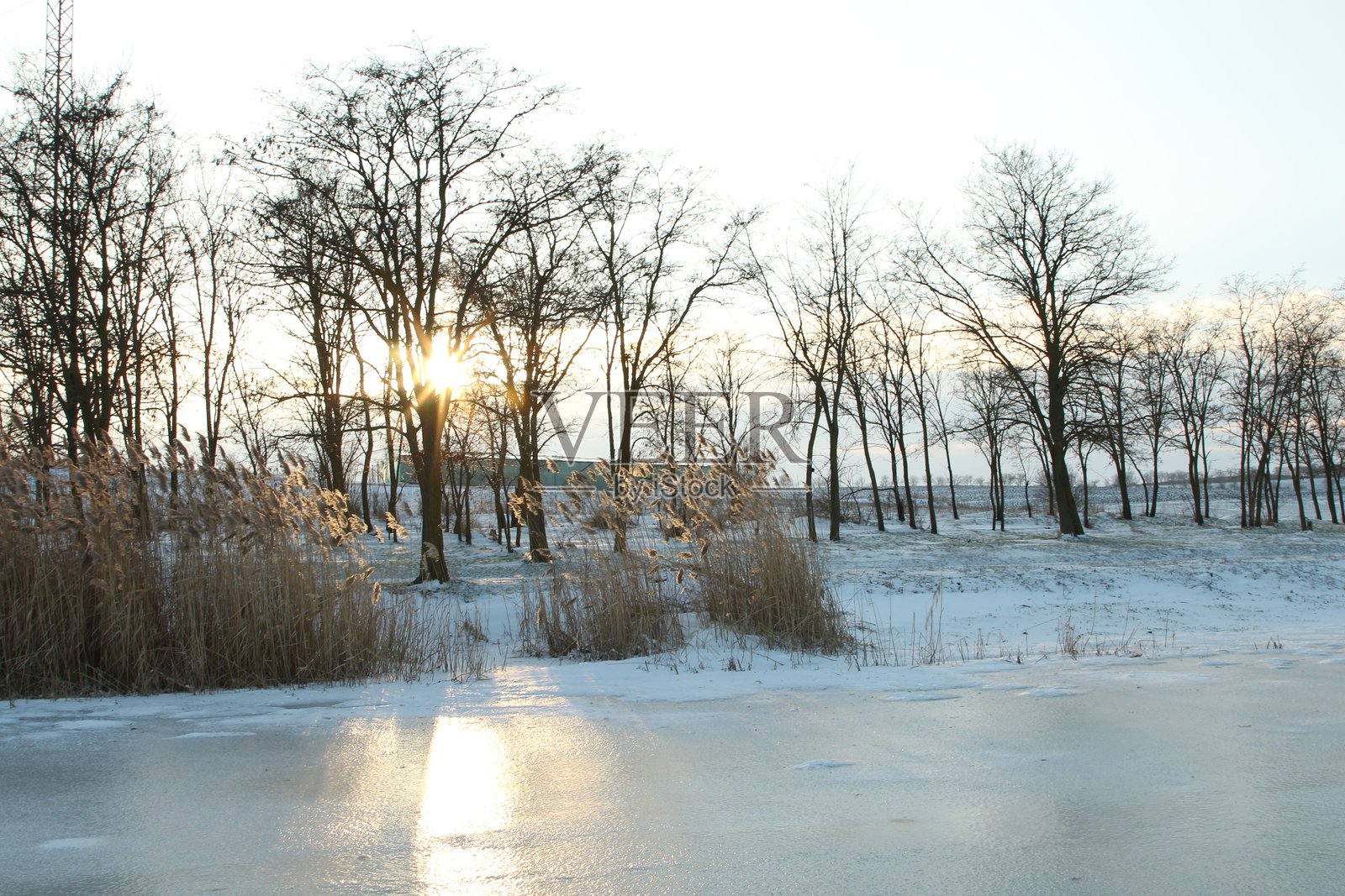 雪地，树木和日落照片摄影图片