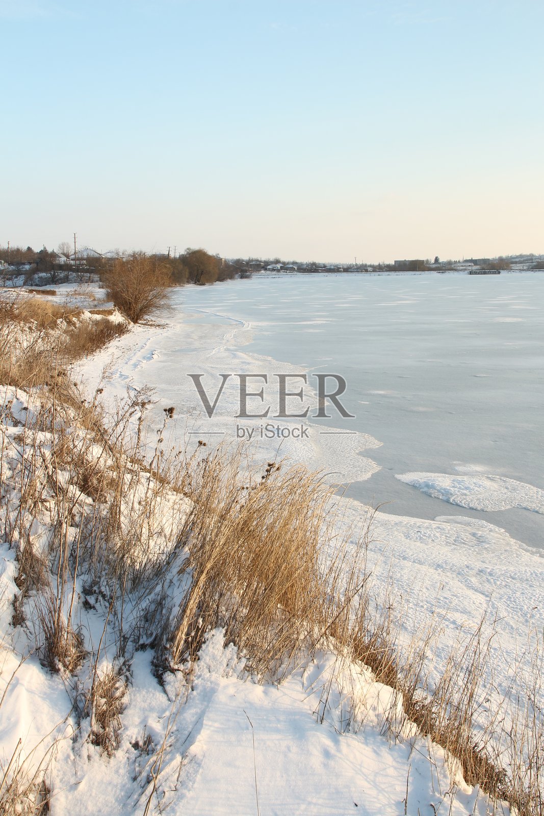 雪地里的树木照片摄影图片