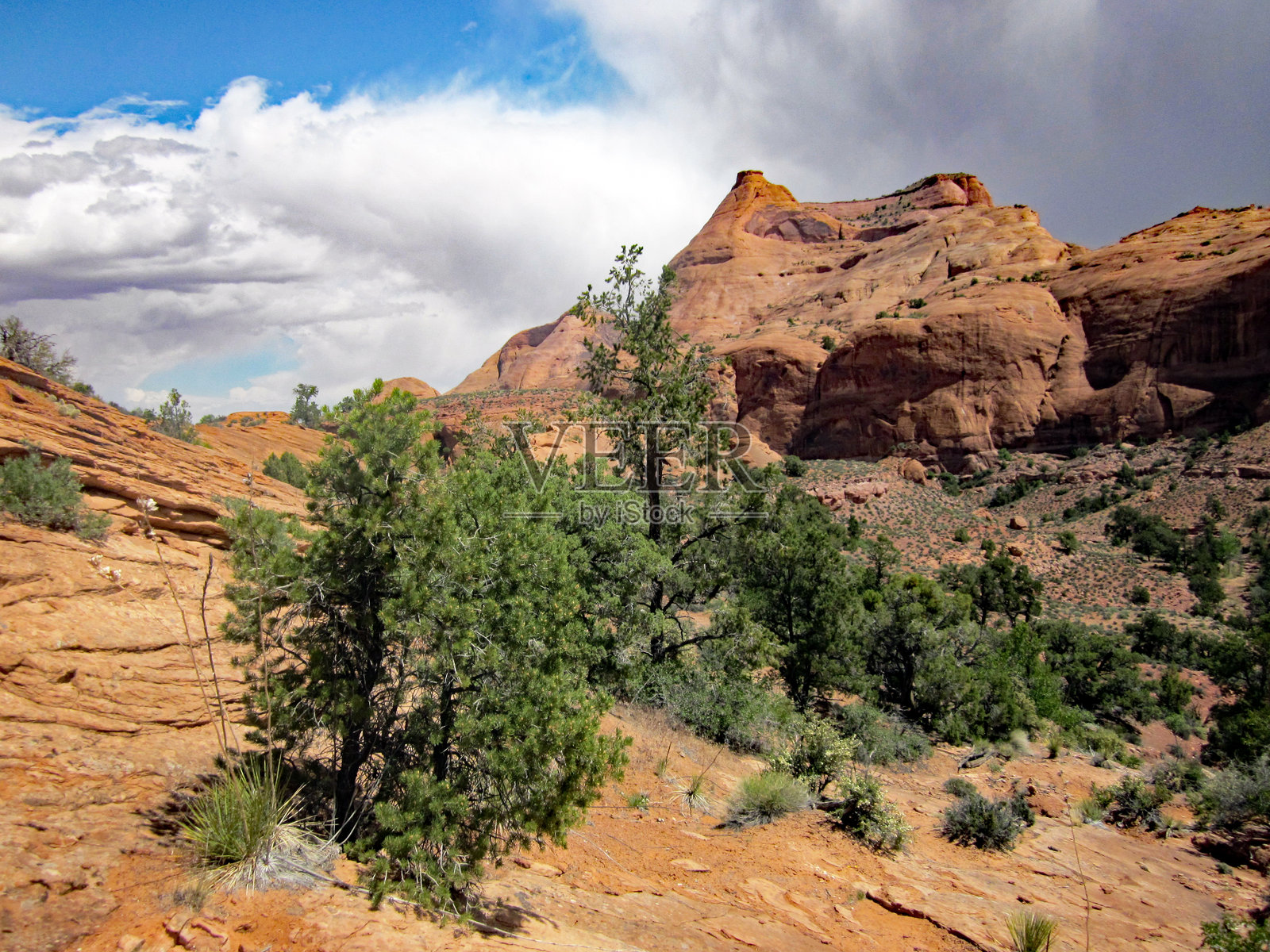 秃岩峡谷照片摄影图片