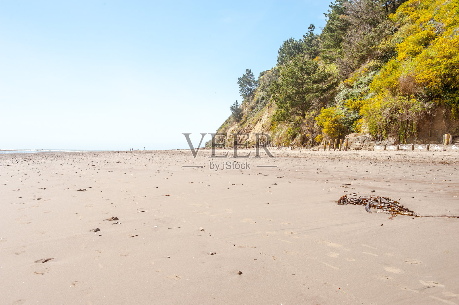 加州海滩风光照片摄影图片