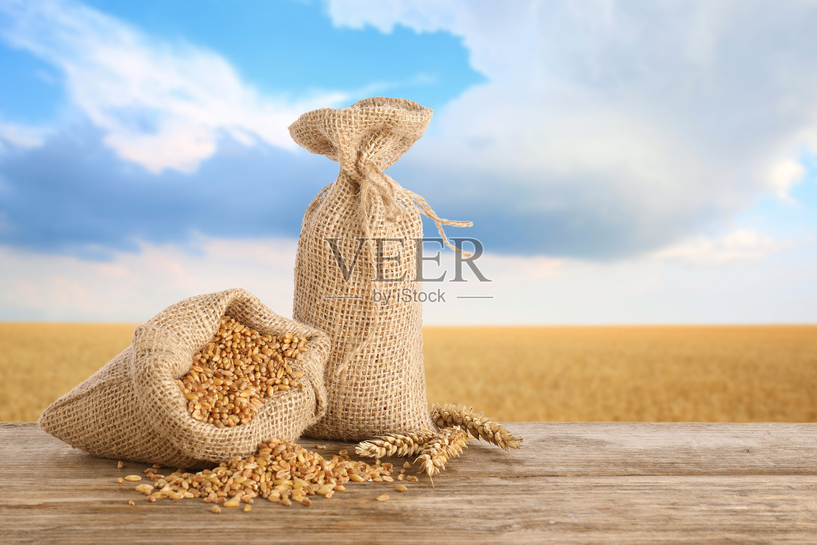 木桌上的谷物和麦穗，背景是农田照片摄影图片