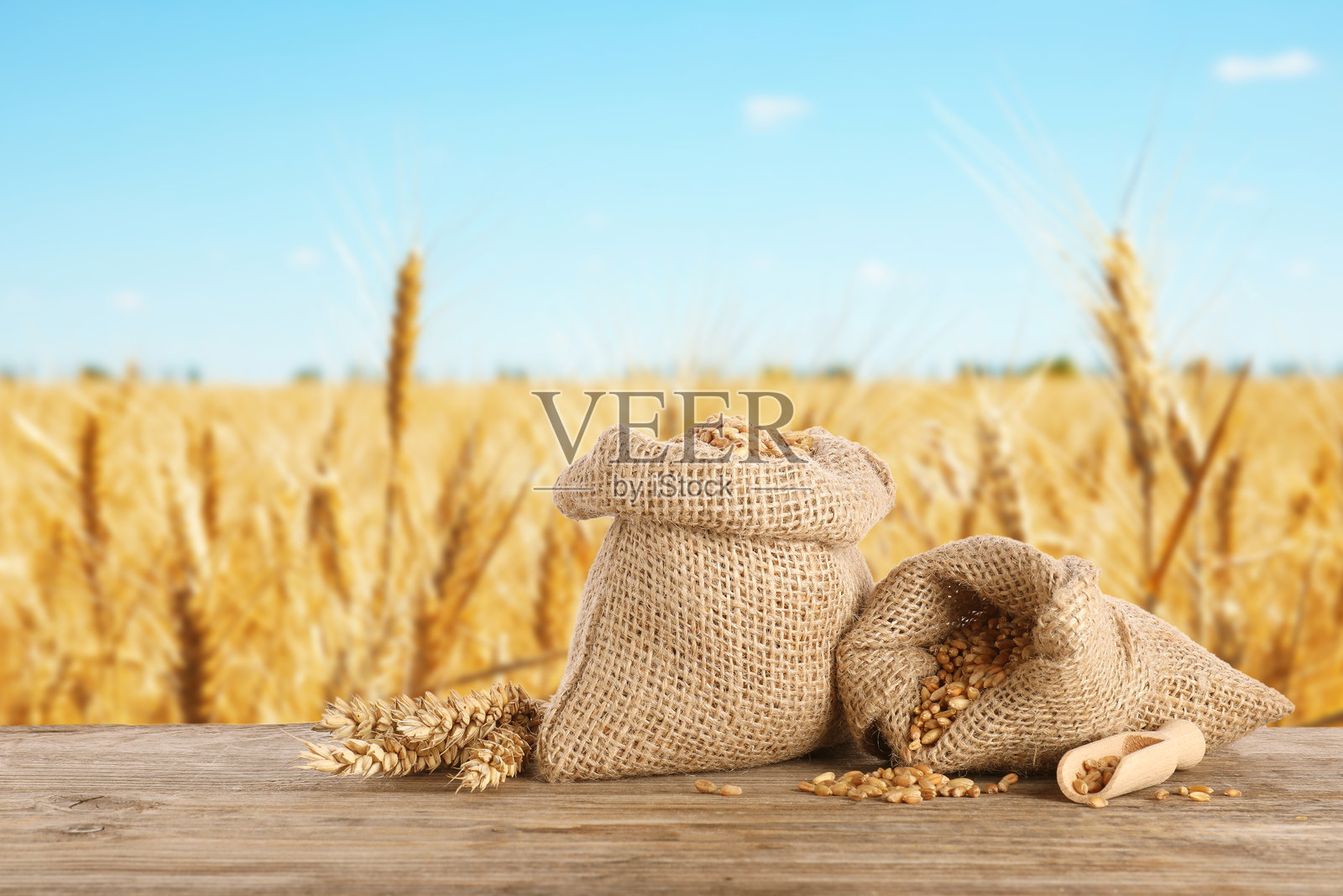 木桌上的谷物和麦穗，背景是农田照片摄影图片