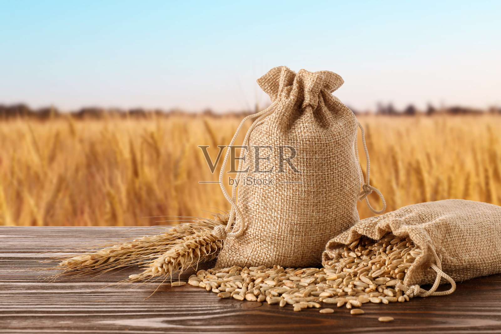 木桌上的谷物和黑麦穗，背景是农田照片摄影图片