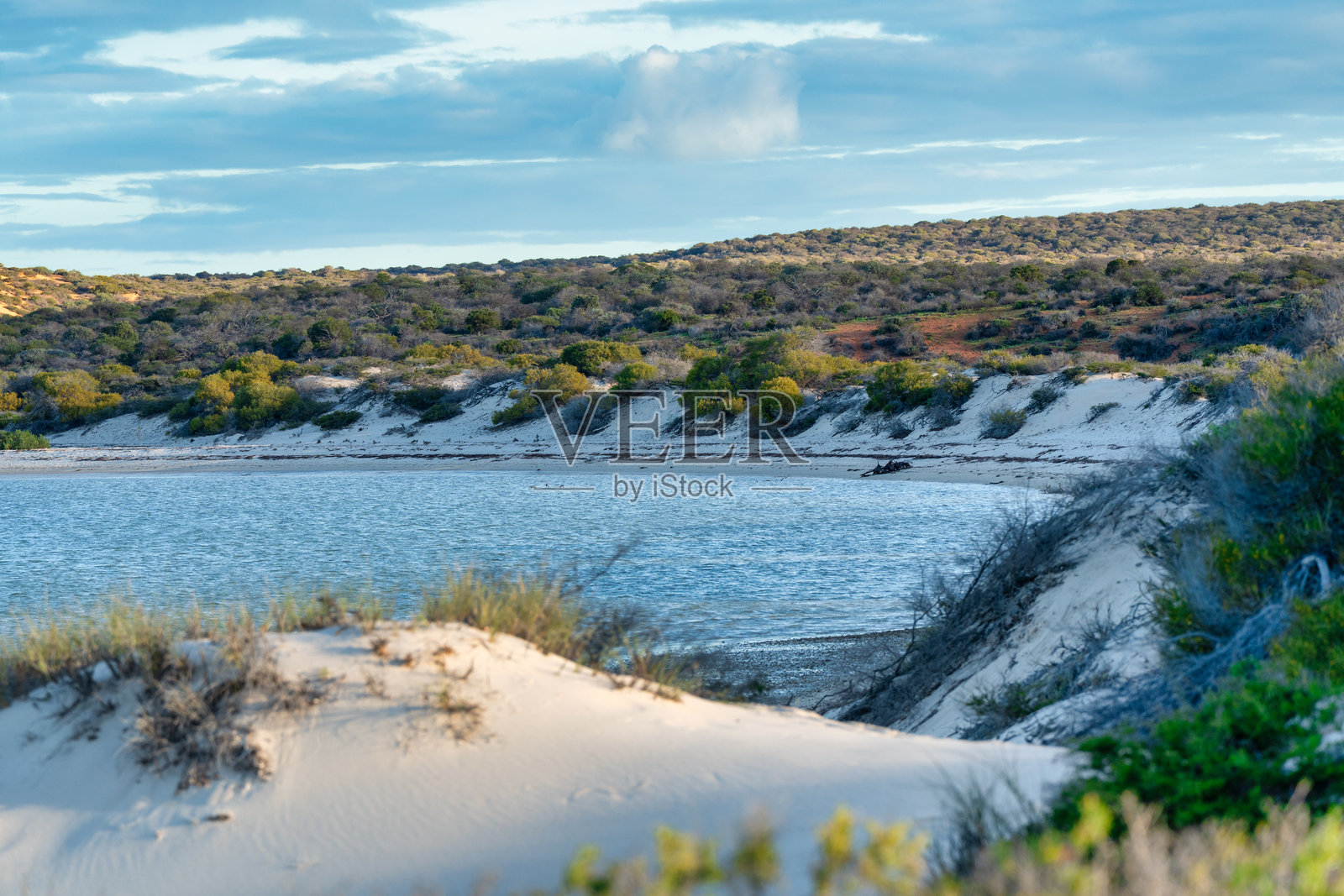 澳大利亚西部鲨鱼湾原始海滩，拥有绿松石般的海水和白色贝壳沙滩，宛如天堂照片摄影图片