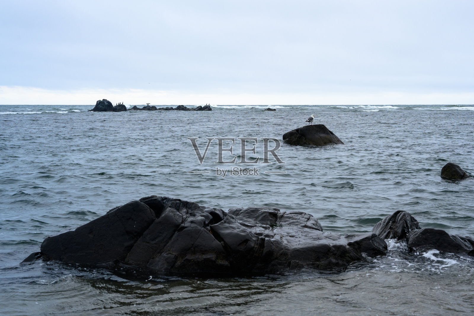俄罗斯海岸的宁静水域，拥有岩石海岸线和远处的岛屿照片摄影图片