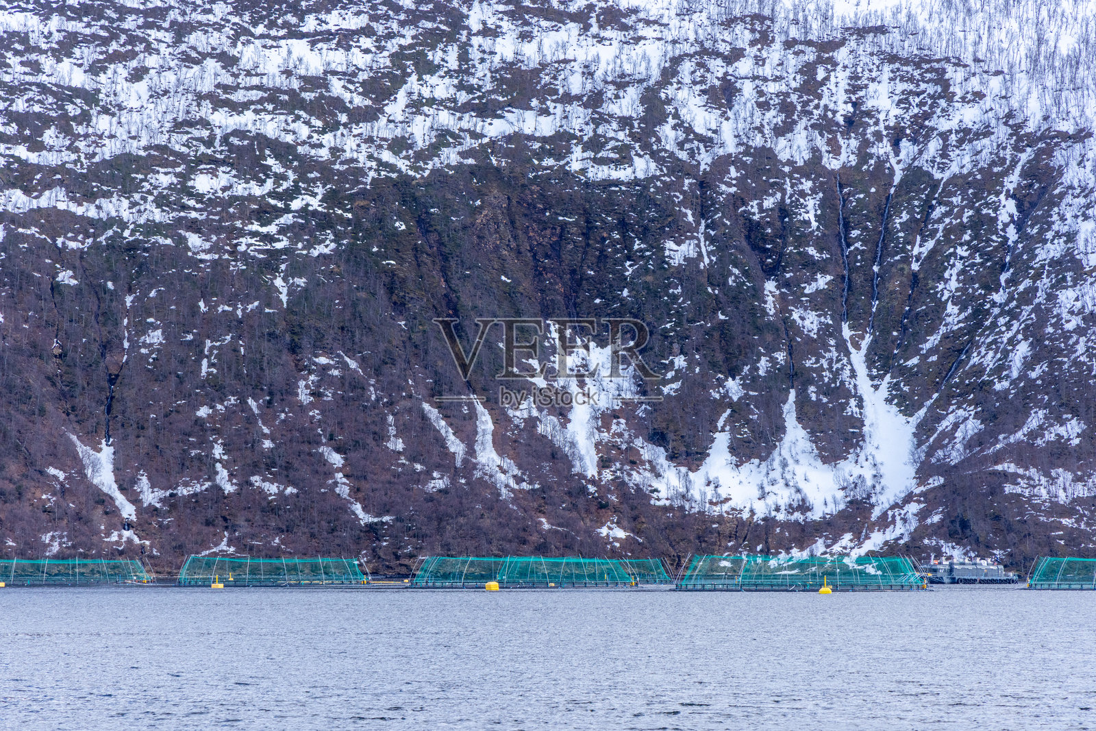 雪山峡湾的三文鱼养殖场照片摄影图片