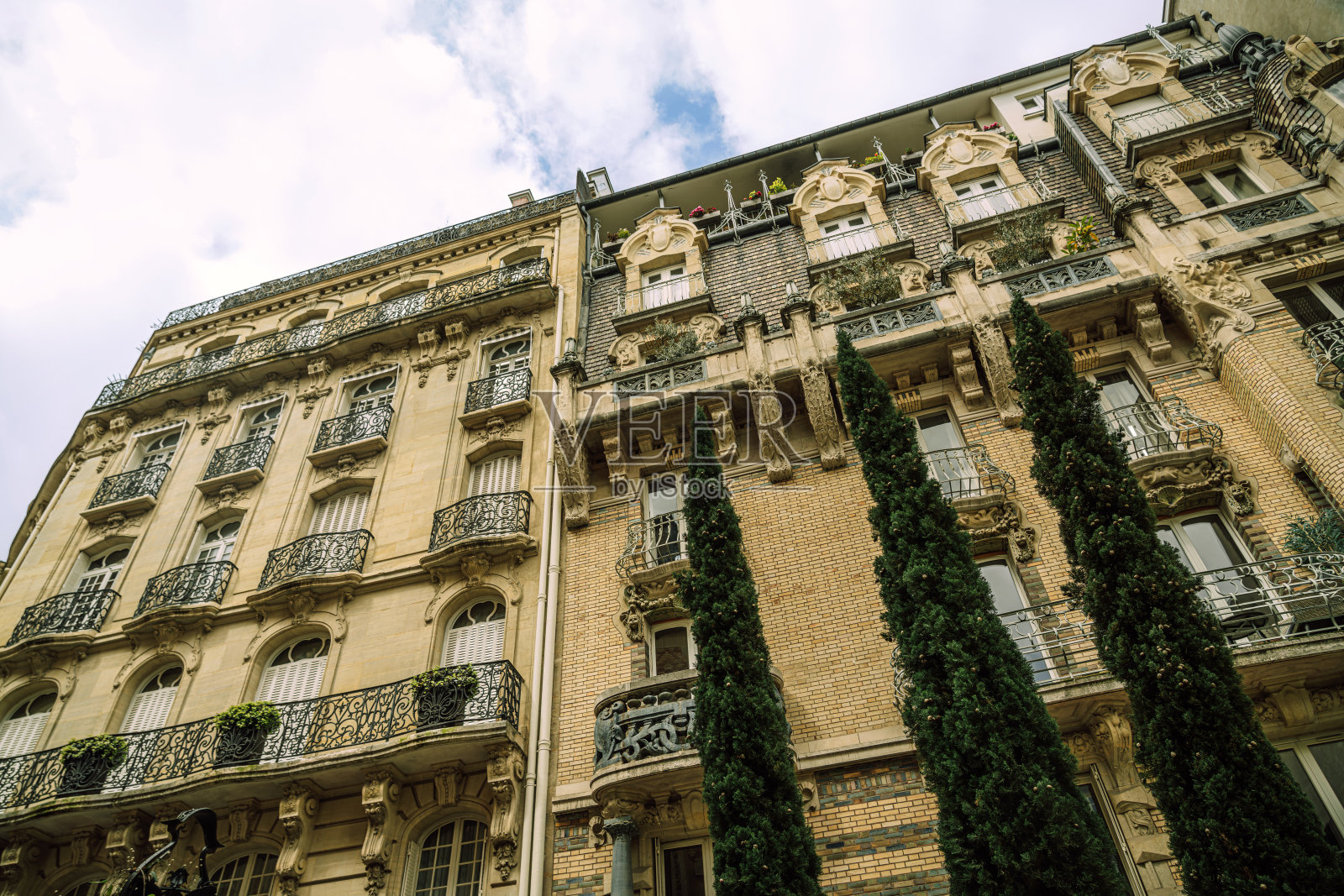 巴黎奥斯曼风格建筑，带有高大的绿植外墙照片摄影图片