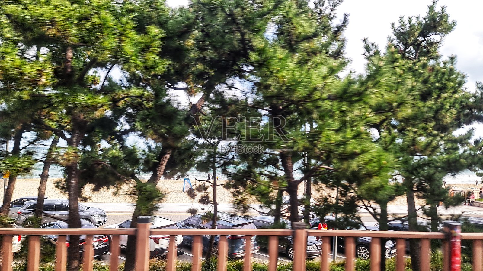 2024年11月9日，韩国釜山。海滨沙滩风光，有绿树和停放的汽车。照片摄影图片