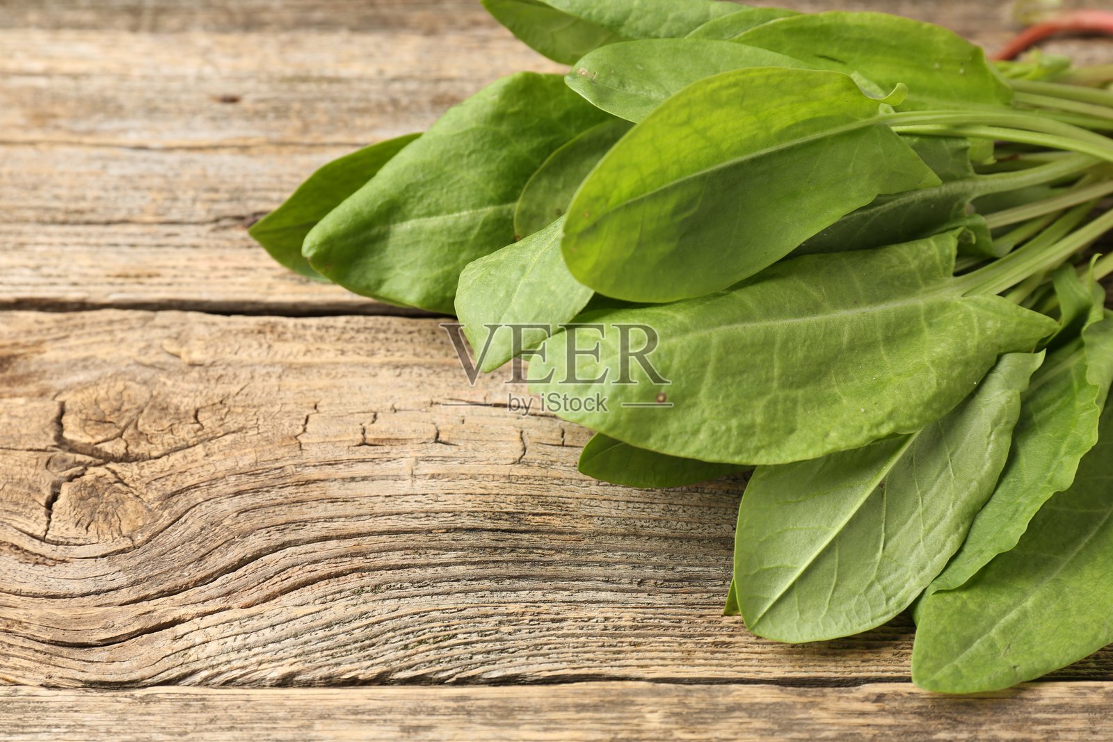 木桌上新鲜的绿叶酸模特写。留有文字空间照片摄影图片