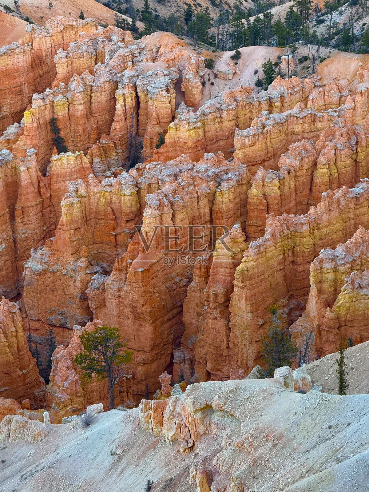 布莱斯峡谷国家公园照片摄影图片