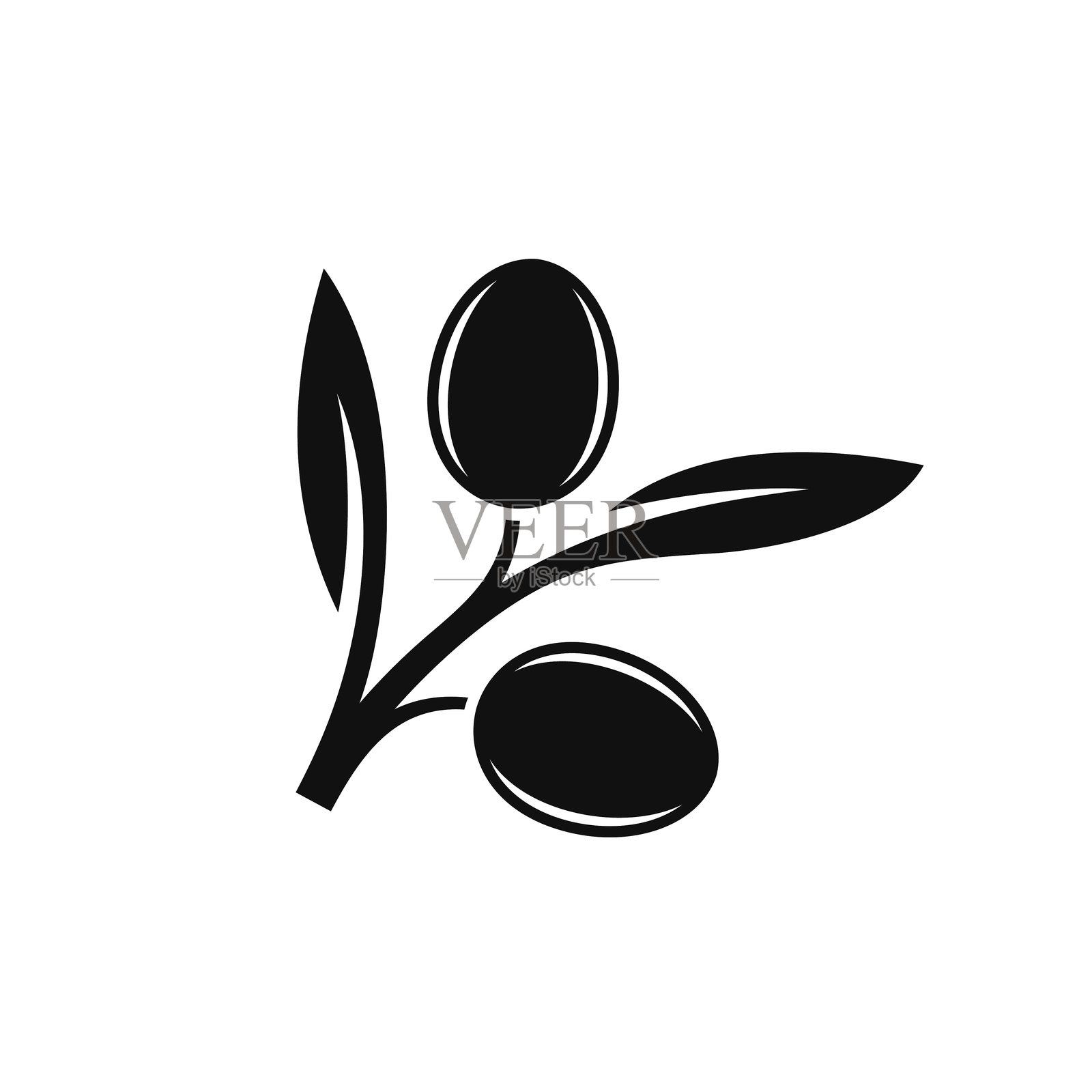 橄榄枝插画图片素材