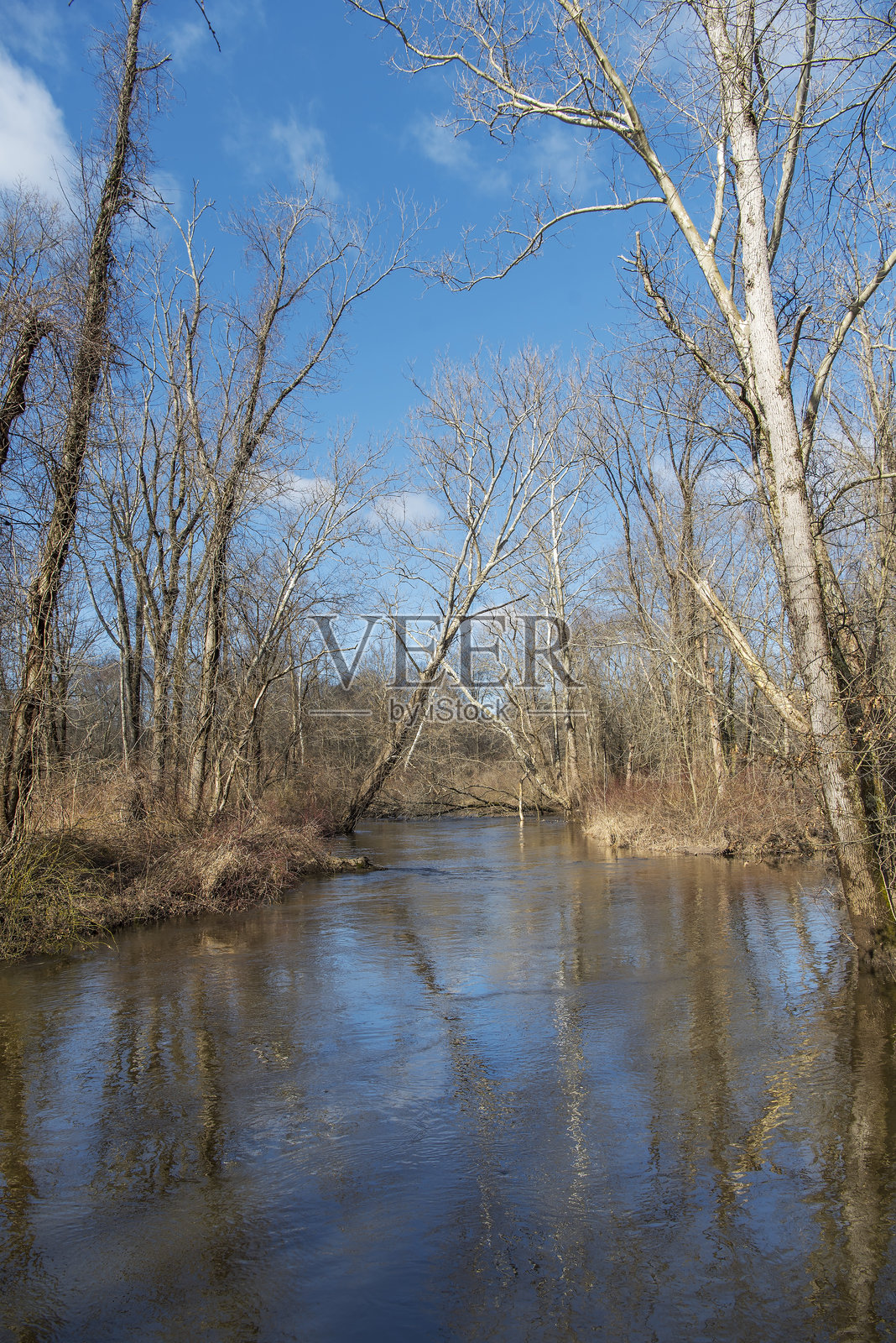 康涅狄格州温莎的斯堪迪克河州立公园照片摄影图片
