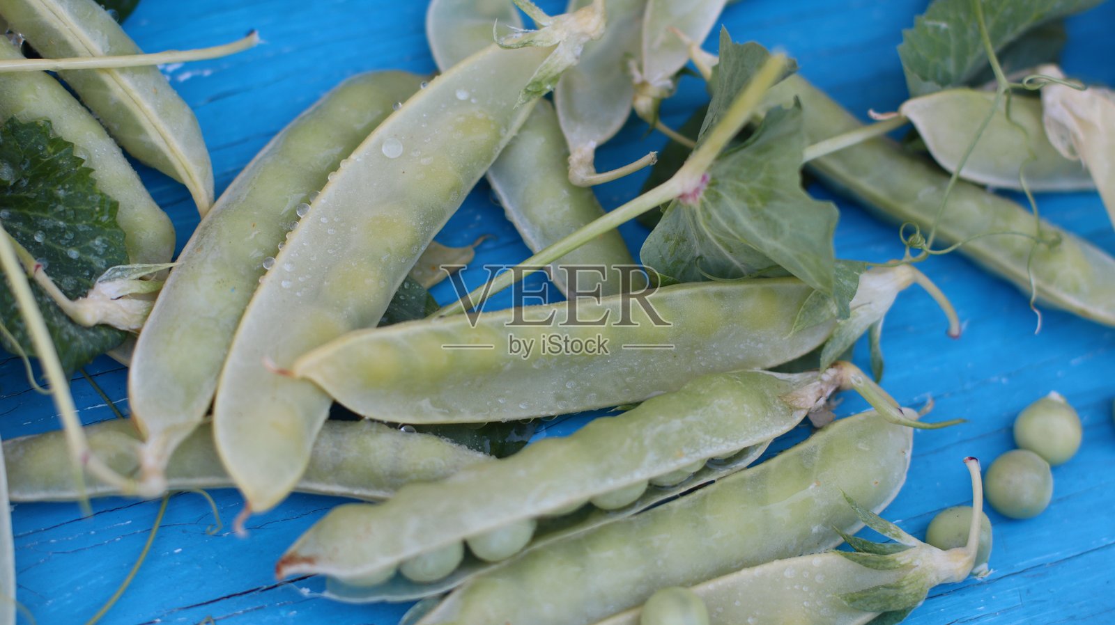 成熟的绿色甜豆荚特写照片摄影图片