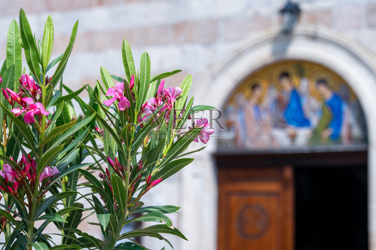 历史悠久的教堂入口旁鲜艳的粉色夹竹桃花照片摄影图片