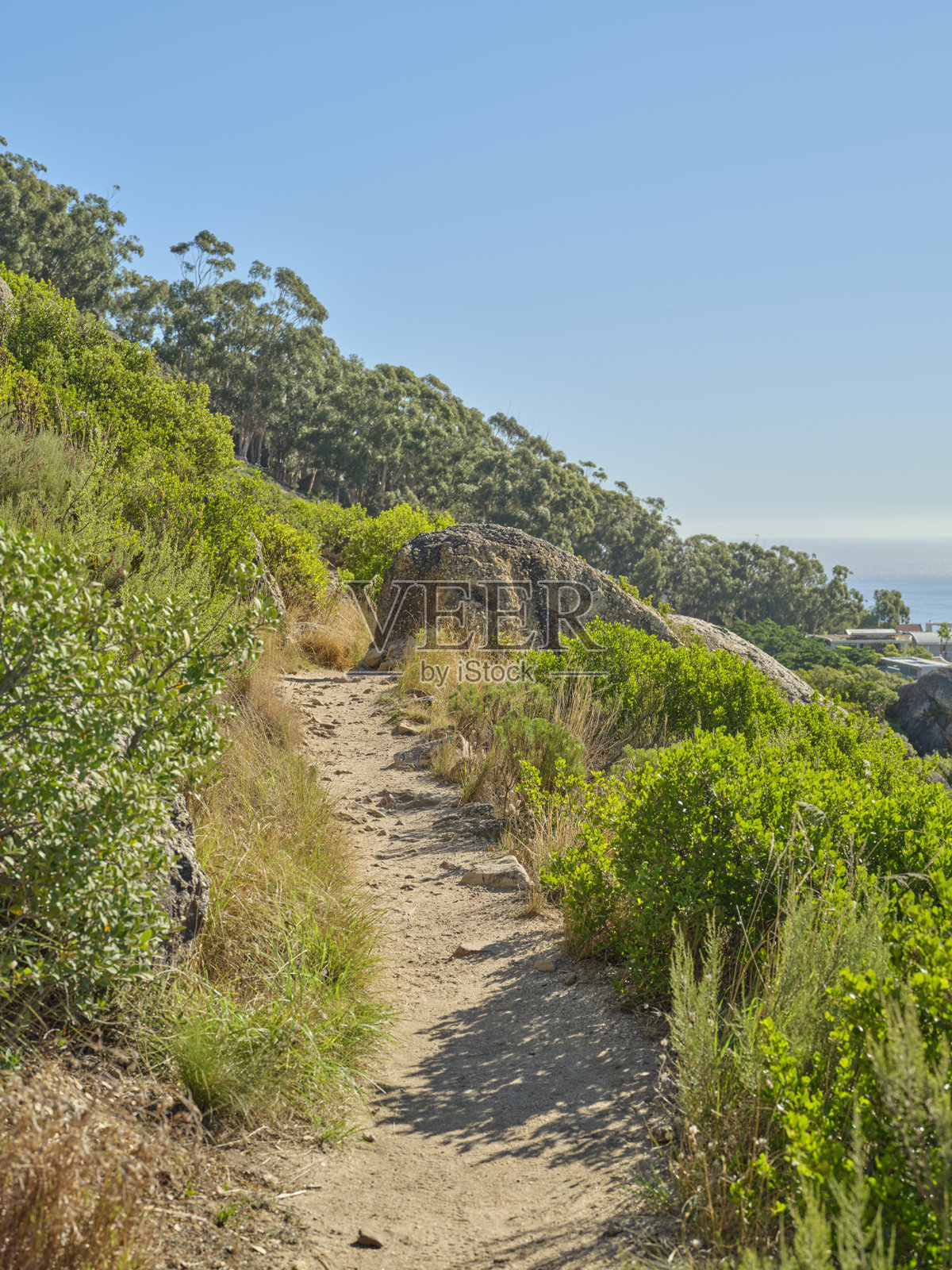 南非开普敦，西开普省海岸的自然小径，有岩石小路、绿植和海景照片摄影图片