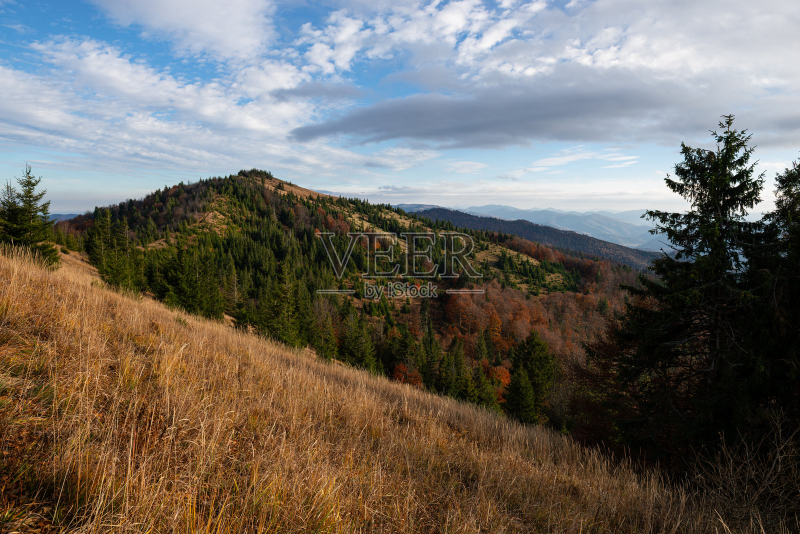 喀尔巴阡山脉贝斯基德地区帕拉什卡山脉的秋景，靠近斯科莱镇照片摄影图片