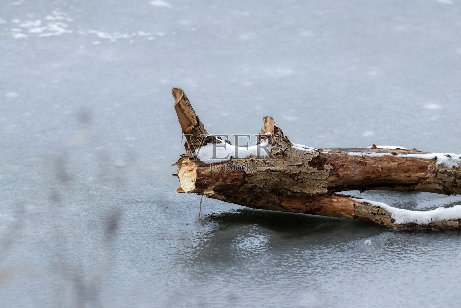 河面上的冰。冬季景色，有冰封的河流和掉落的树枝。照片摄影图片