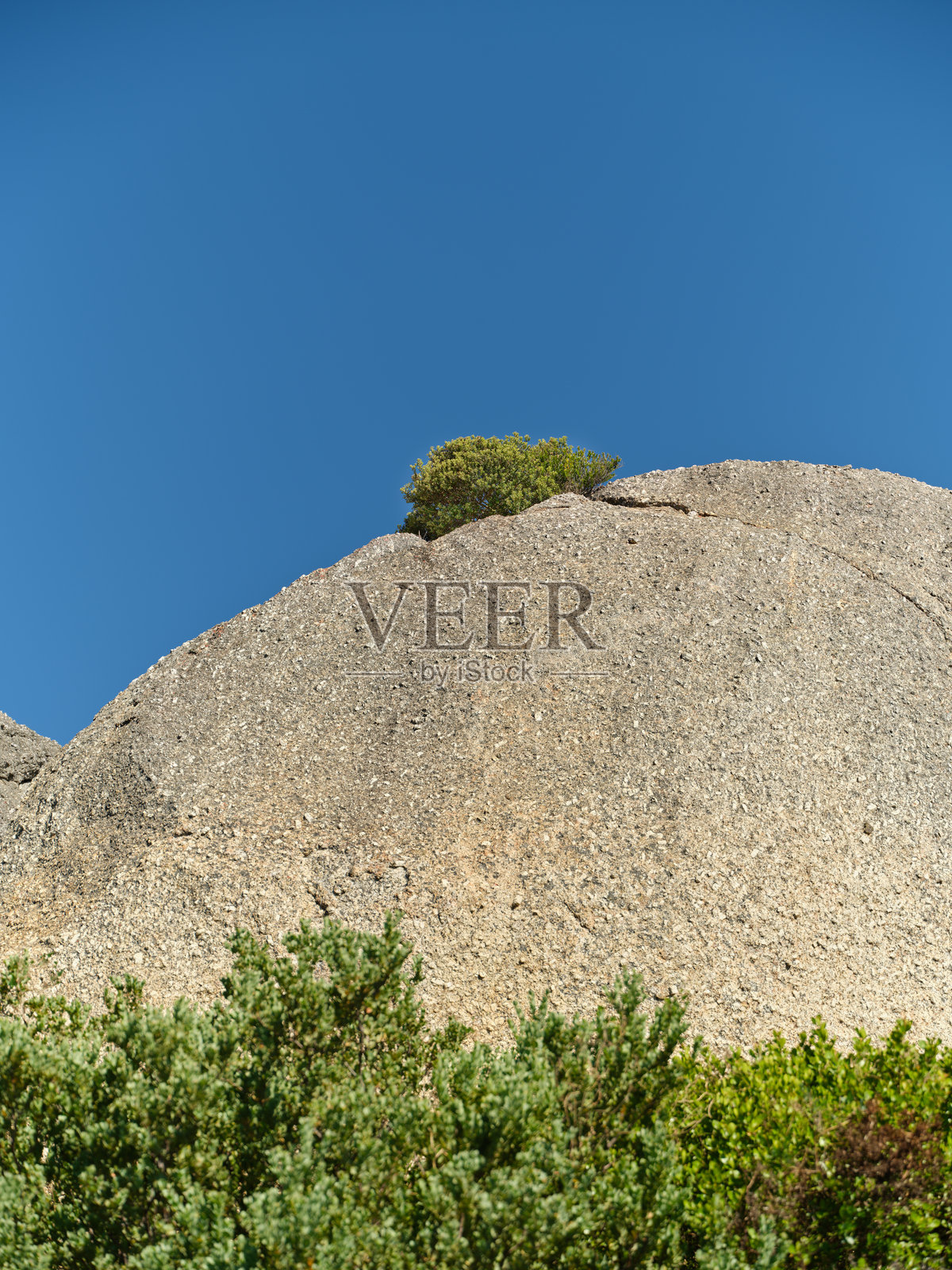 南非开普敦的景观，在西开普省晴朗的蓝天下，有一块崎岖的花岗岩和一丛矮小的山顶灌木照片摄影图片