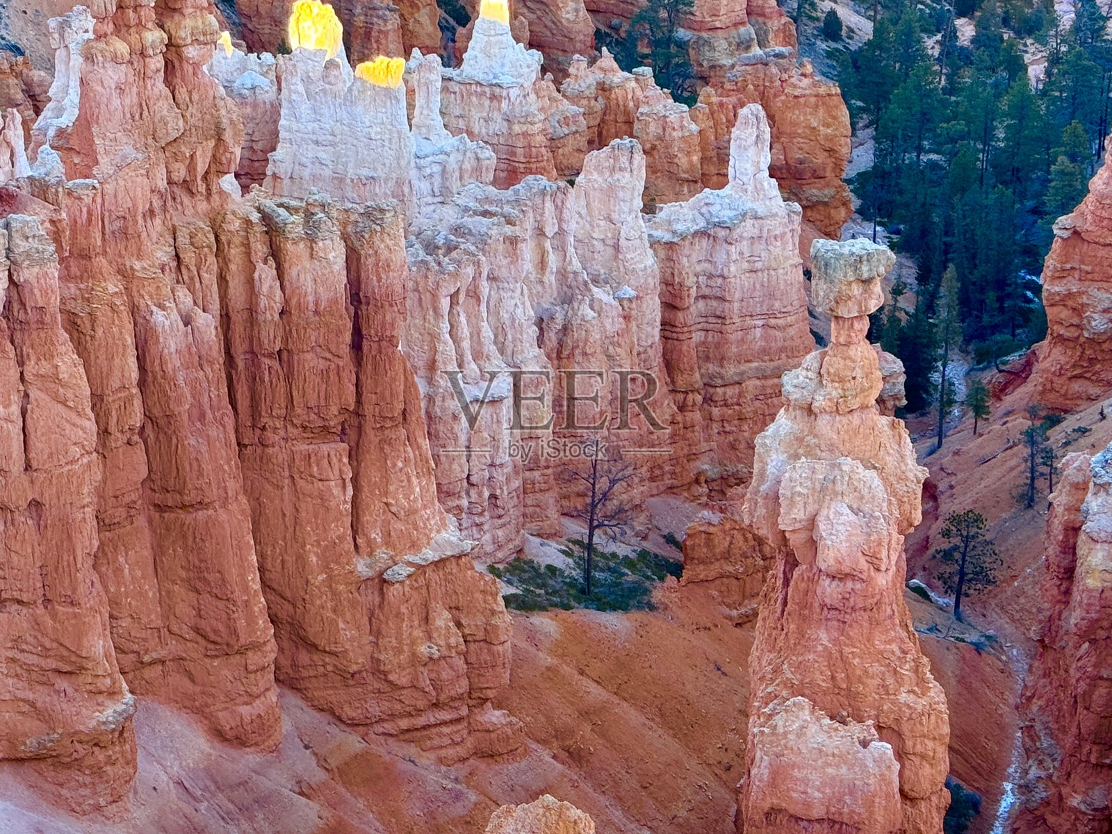 布莱斯峡谷国家公园照片摄影图片