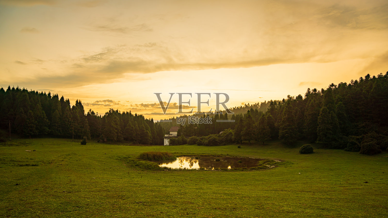 中国亚洲武隆筇竹的空中俯瞰：针叶林、草地和空灵的山景照片摄影图片