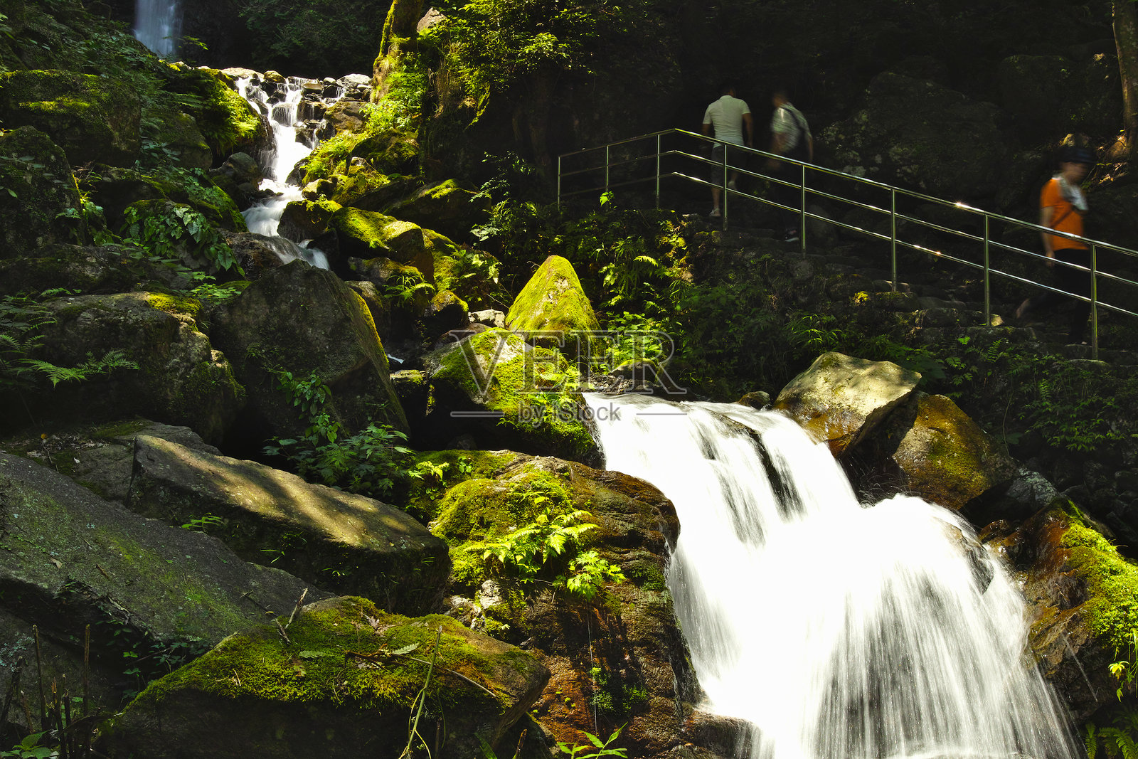 郁郁葱葱的山谷中，夏日瀑布倾泻而下照片摄影图片