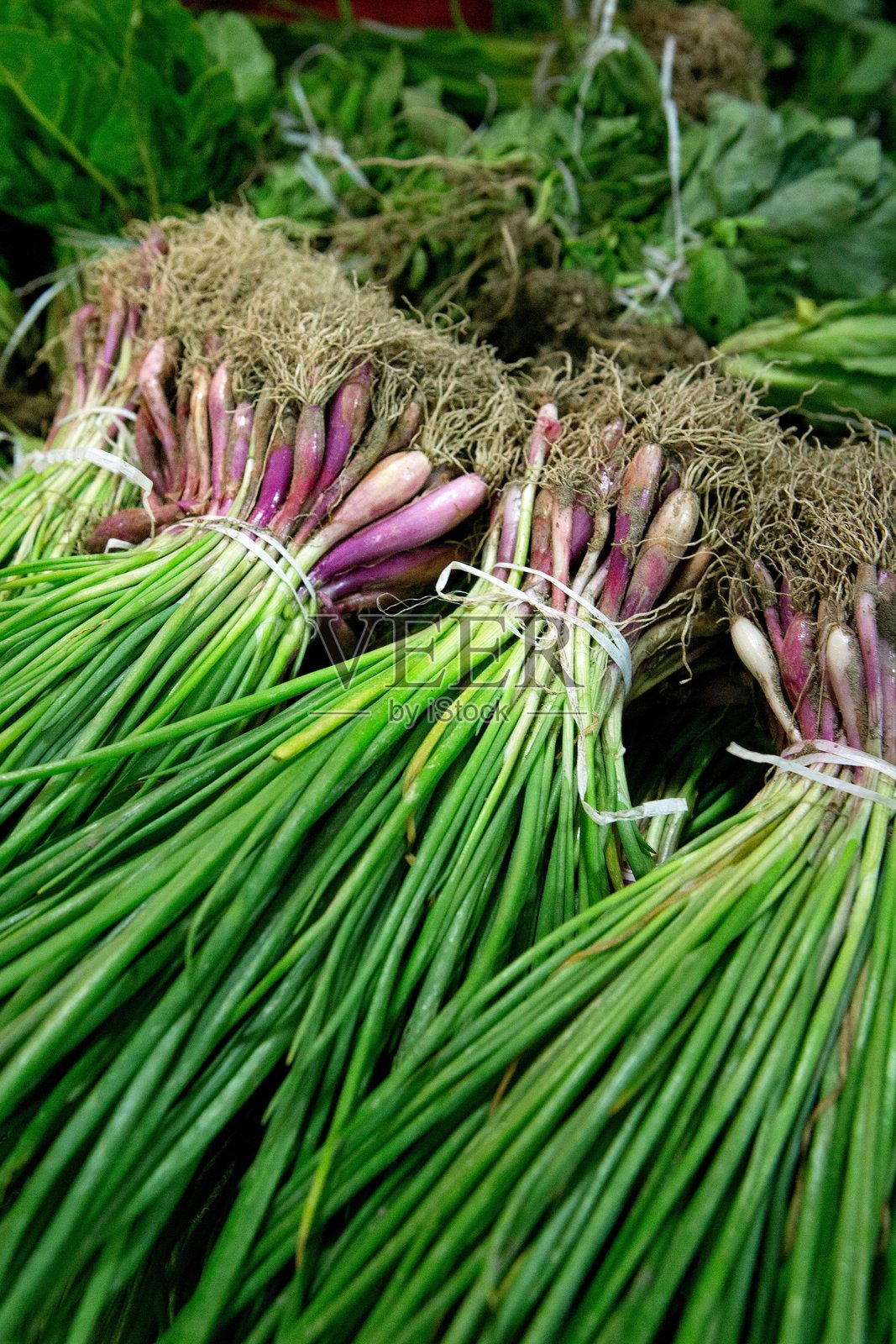 秘鲁阿雷基帕中央市场。圣卡米洛市场照片摄影图片