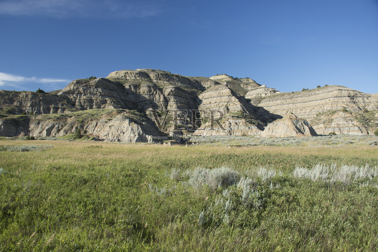 西奥多·罗斯福国家公园照片摄影图片