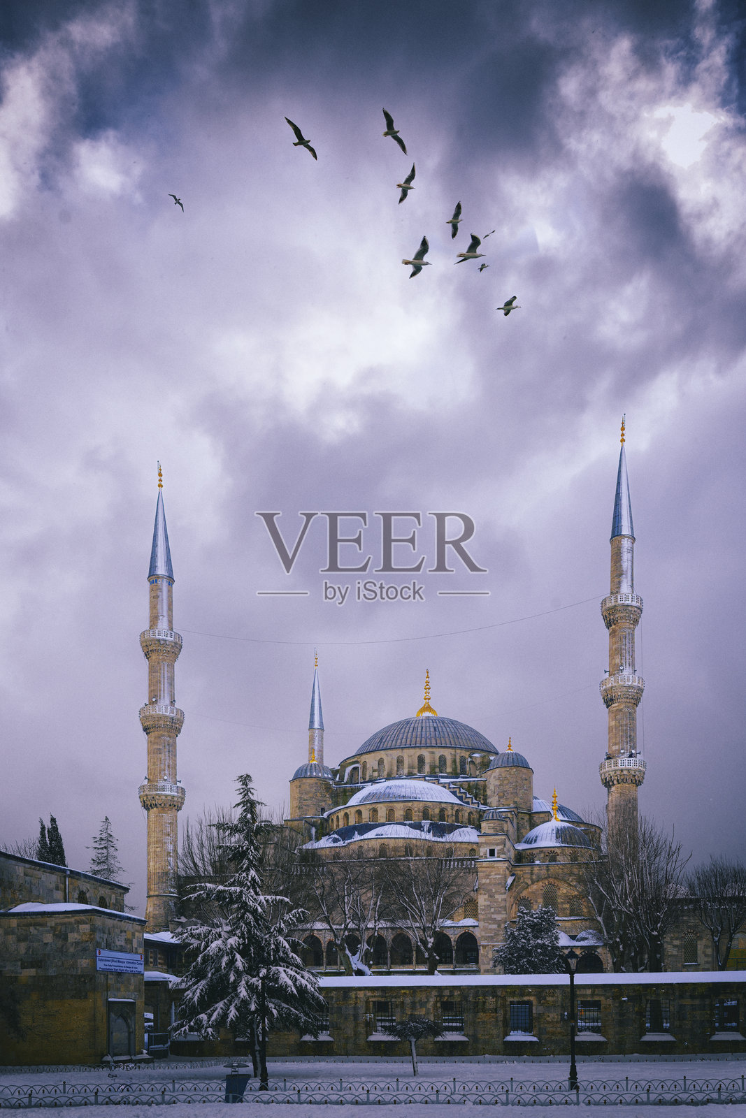 雪中的伊斯坦布尔蓝色清真寺照片摄影图片