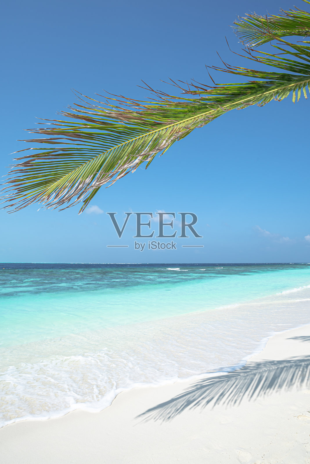 夏日热带天堂海滩背景，拥有美丽的绿松石海和蓝天照片摄影图片