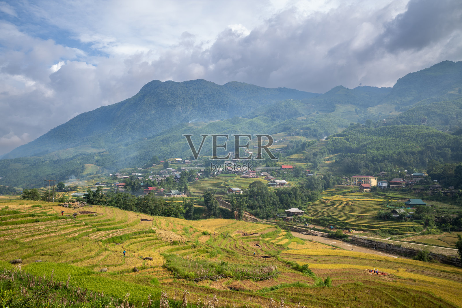 萨帕山区梯田间的村庄照片摄影图片