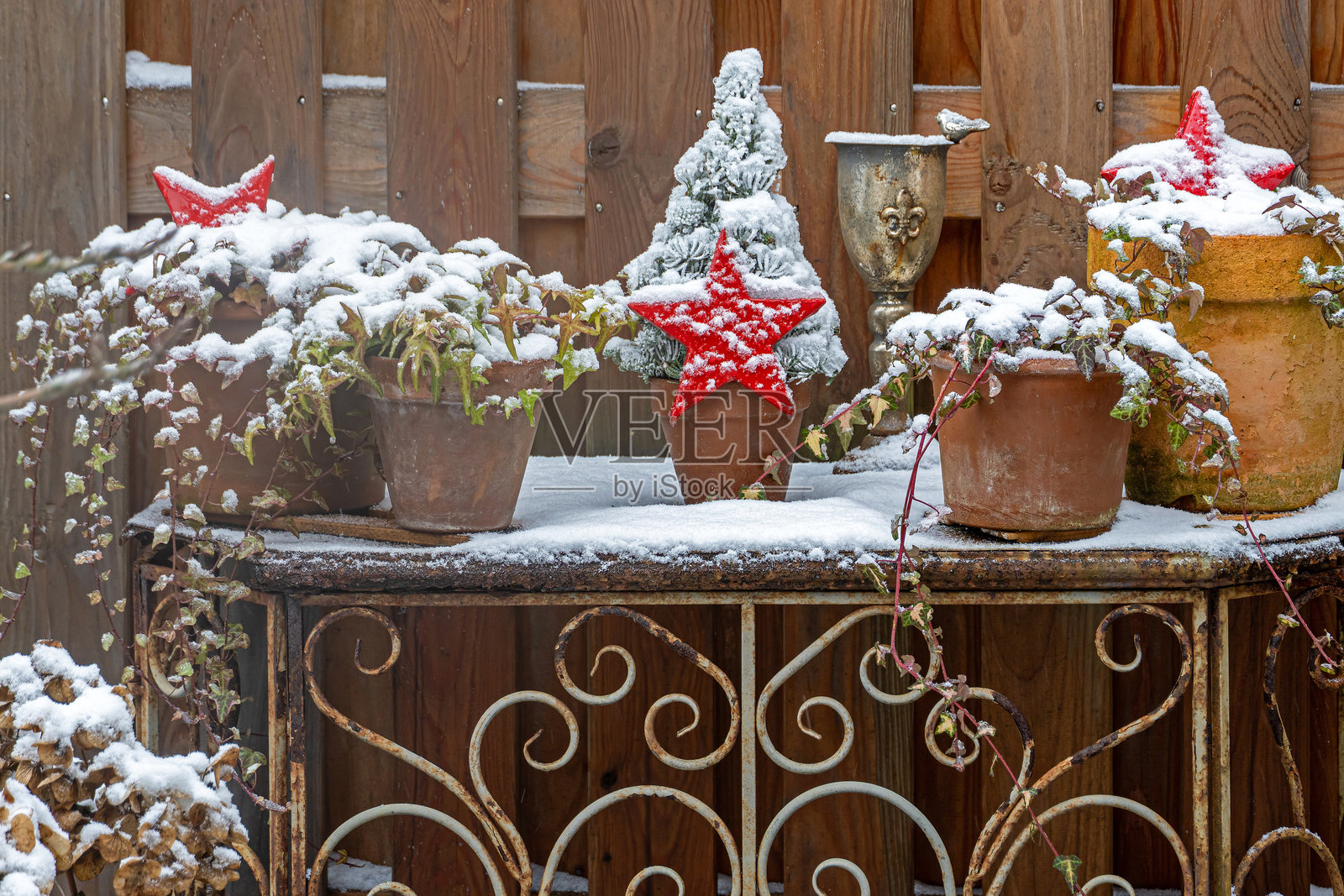 花园里的圣诞装饰照片摄影图片
