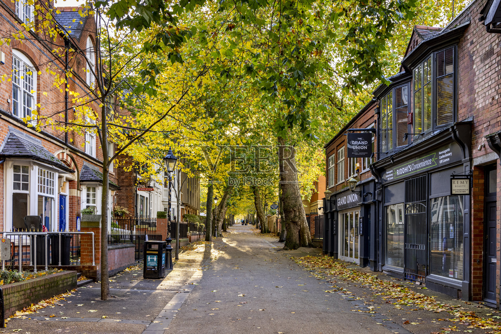 莱斯特新路秋色照片摄影图片