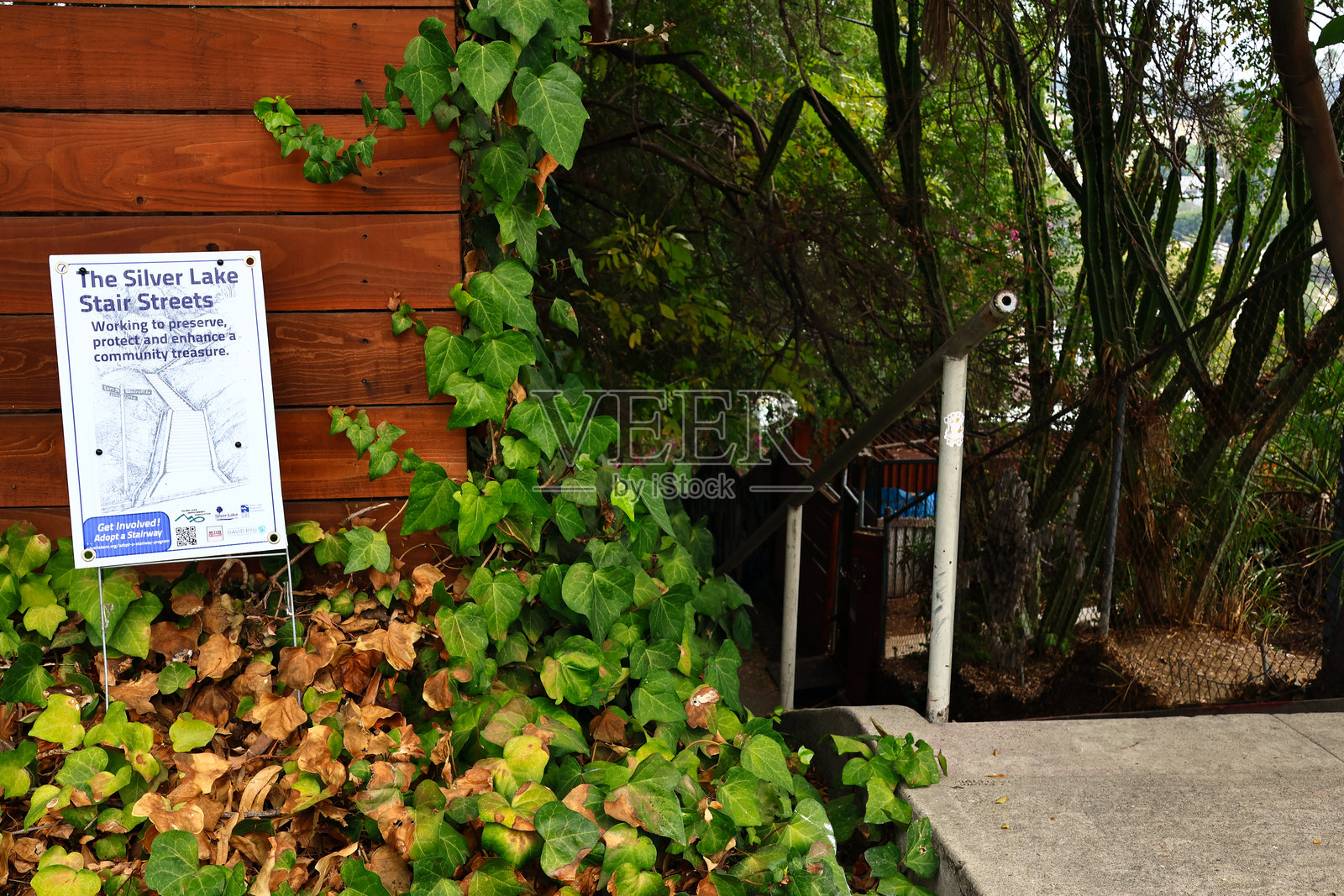 洛杉矶，加利福尼亚州——2025年11月12日：米歇尔托雷纳阶梯，位于米歇尔托雷纳街银湖社区的户外阶梯。照片摄影图片