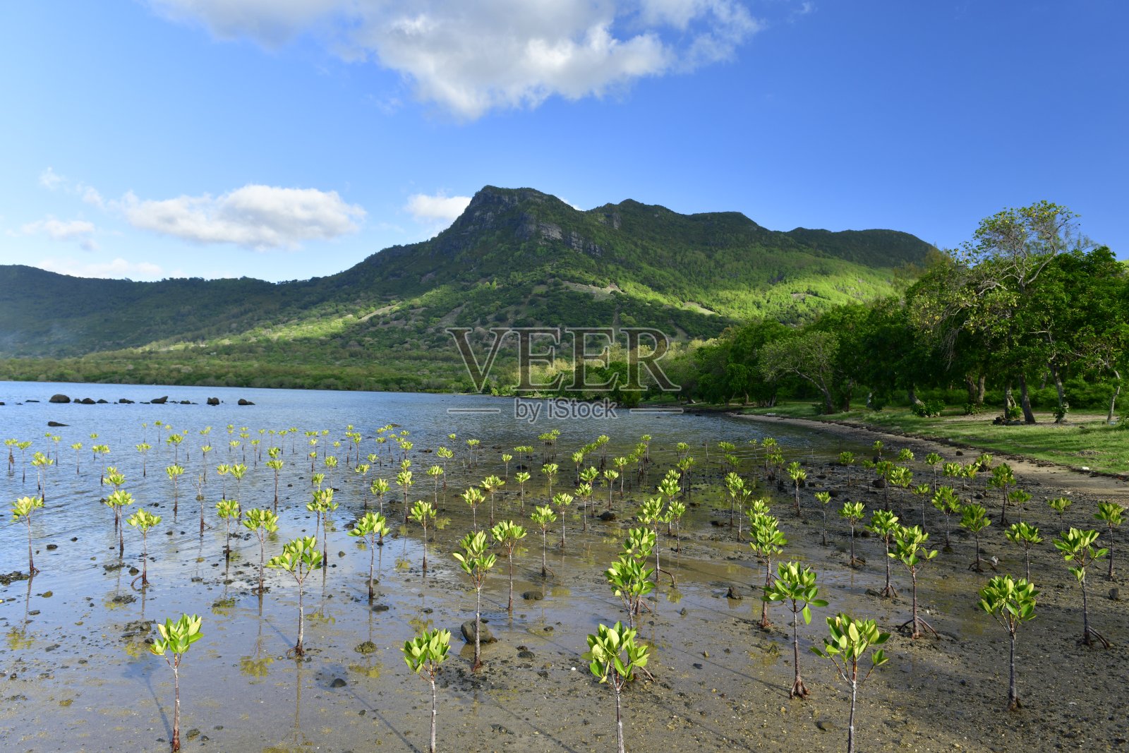 毛里求斯东非拉莫恩湾照片摄影图片