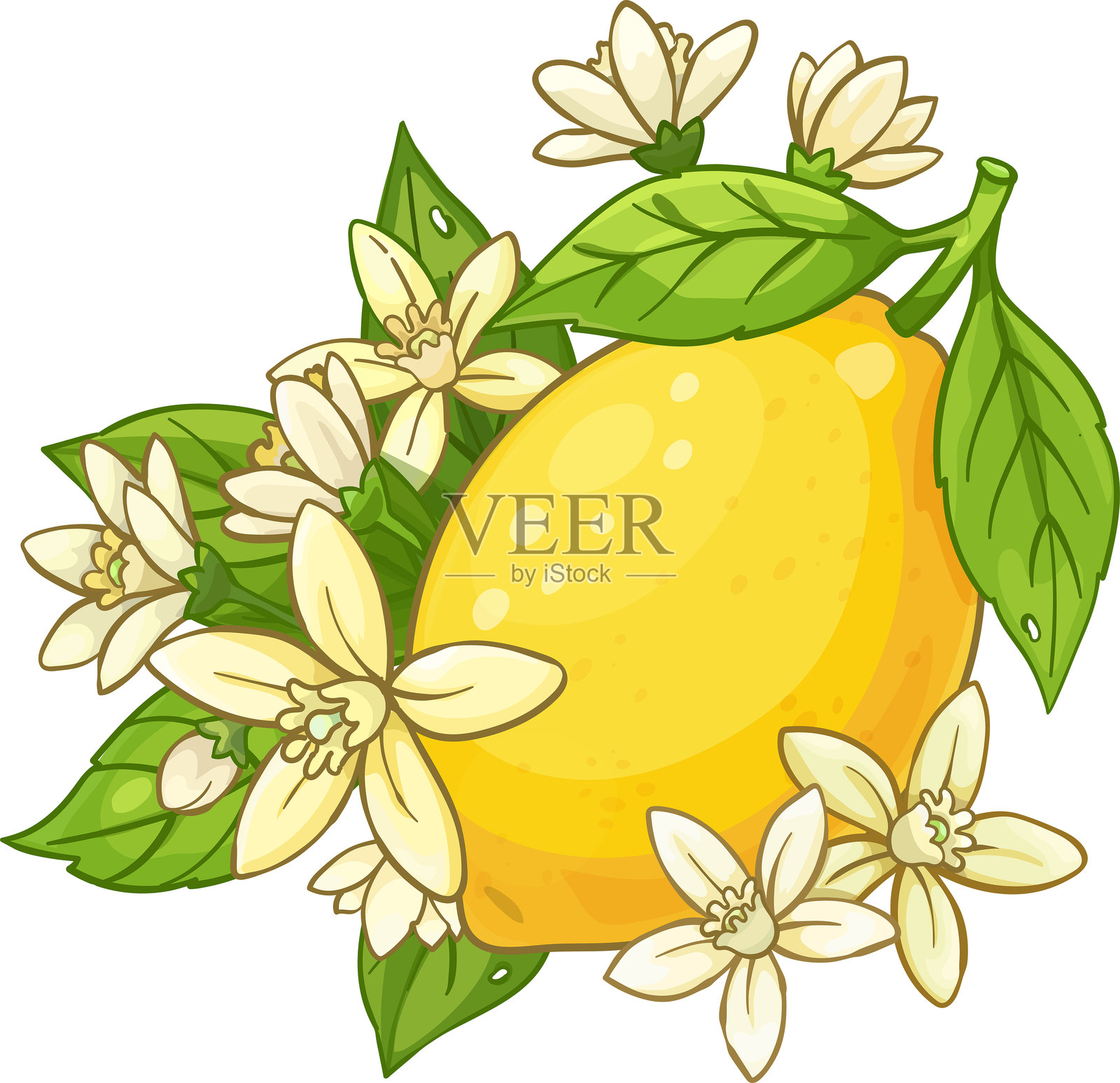 一整个亮黄色柠檬的卡通矢量图插画图片素材