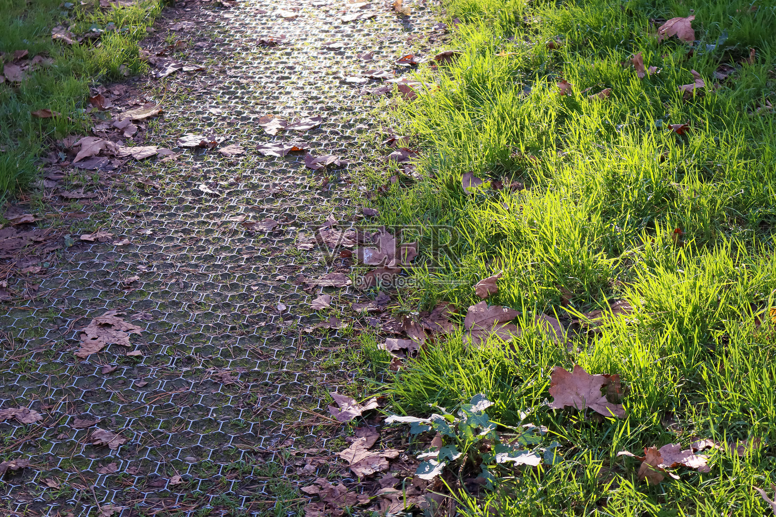 绿色草地环绕的六边形网格路径照片摄影图片