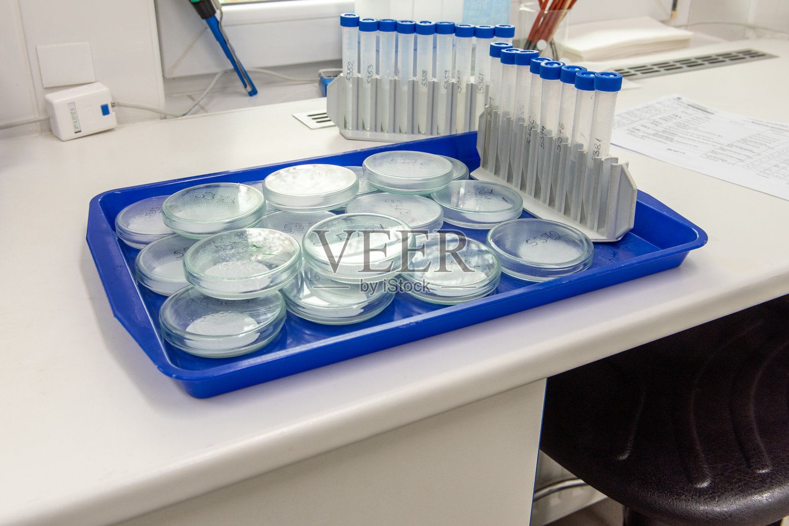 白色桌子上的微生物学实验室设备。照片摄影图片