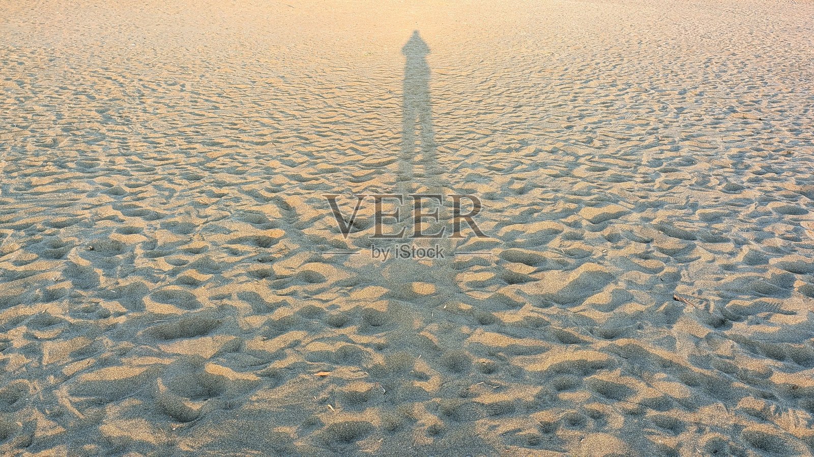 沙丘在海滩上投下长长的影子照片摄影图片