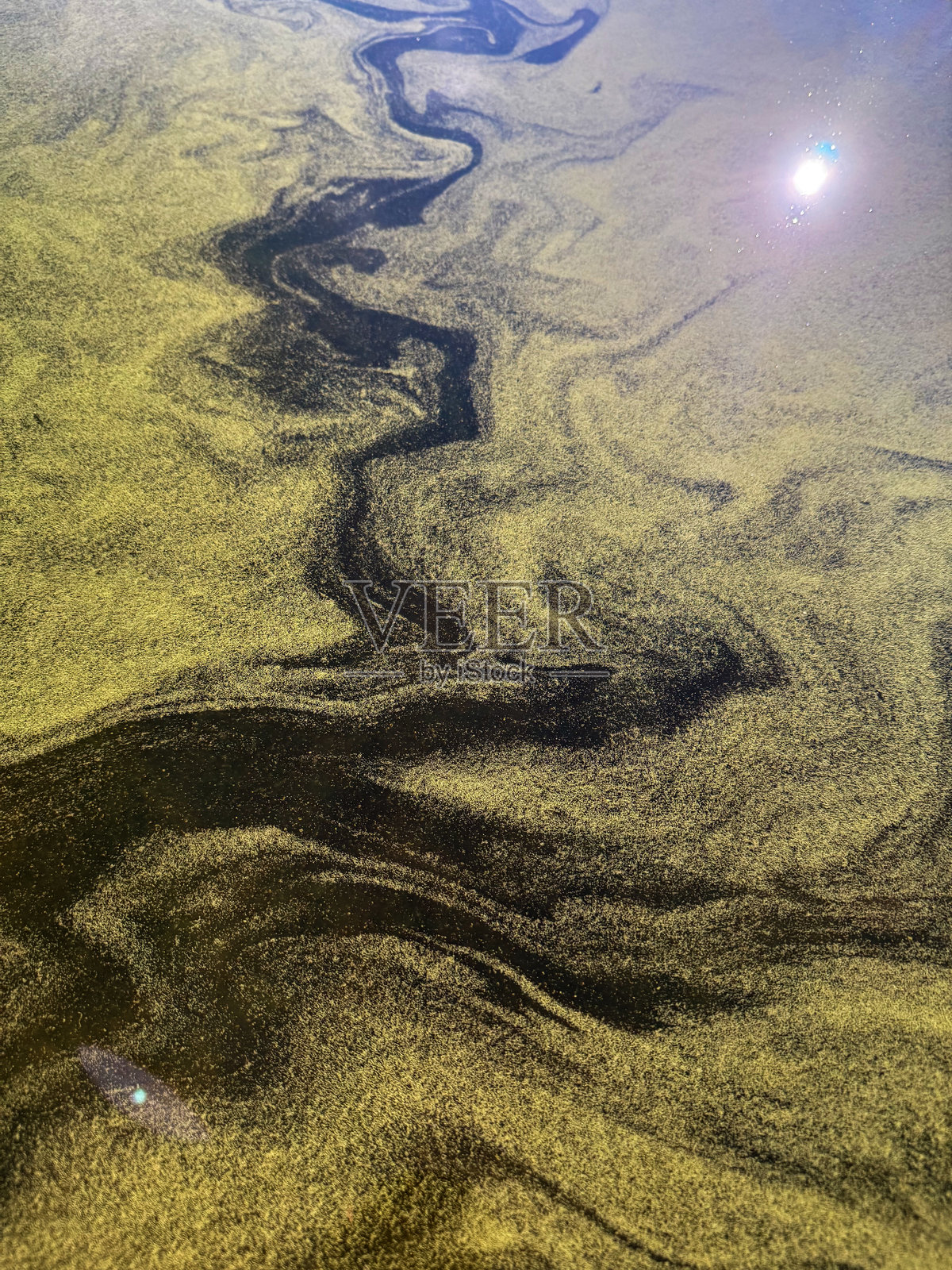 藻类大量繁殖抽象水背景下的阳光反射照片摄影图片