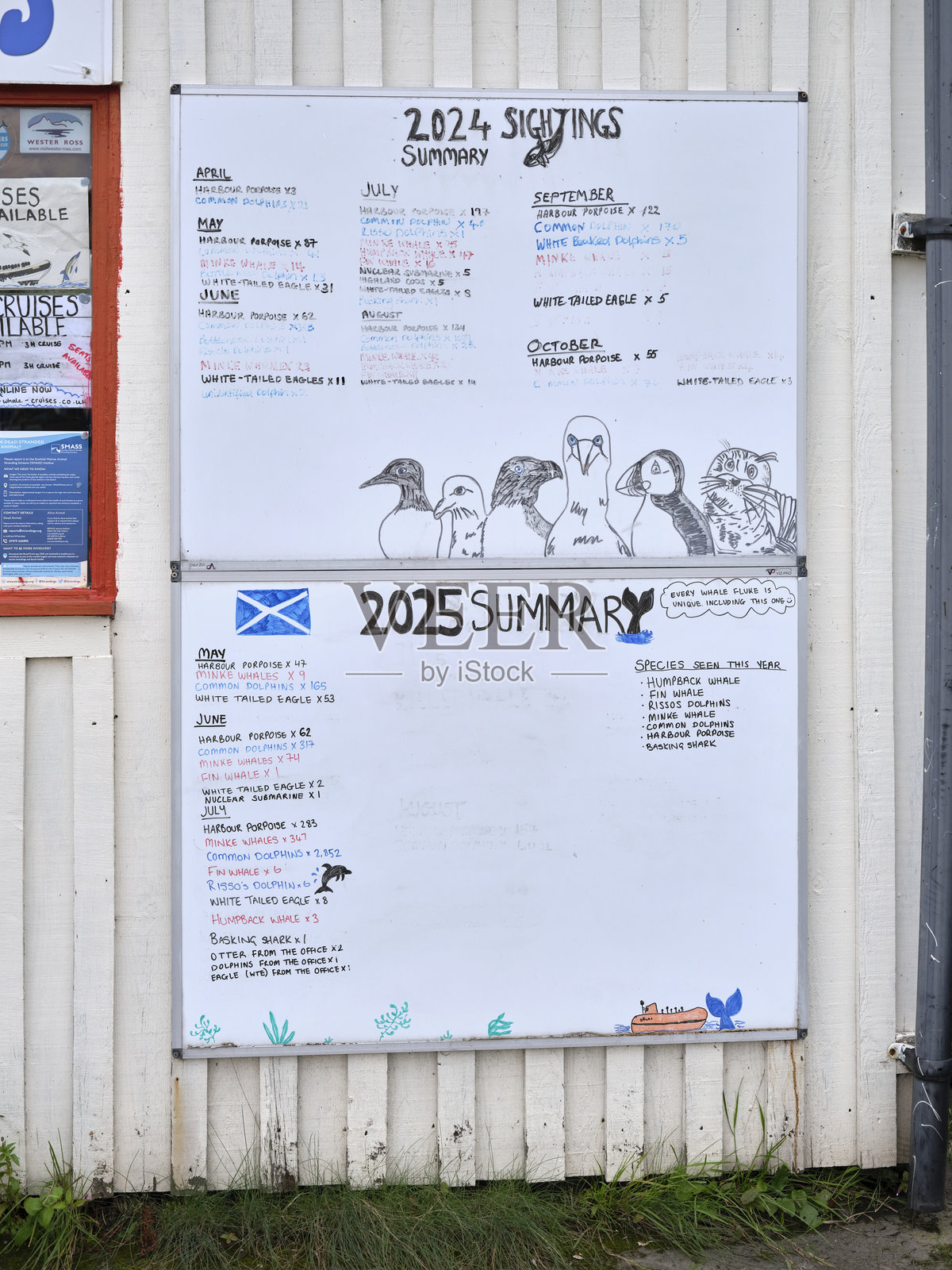 盖尔洛赫照片摄影图片