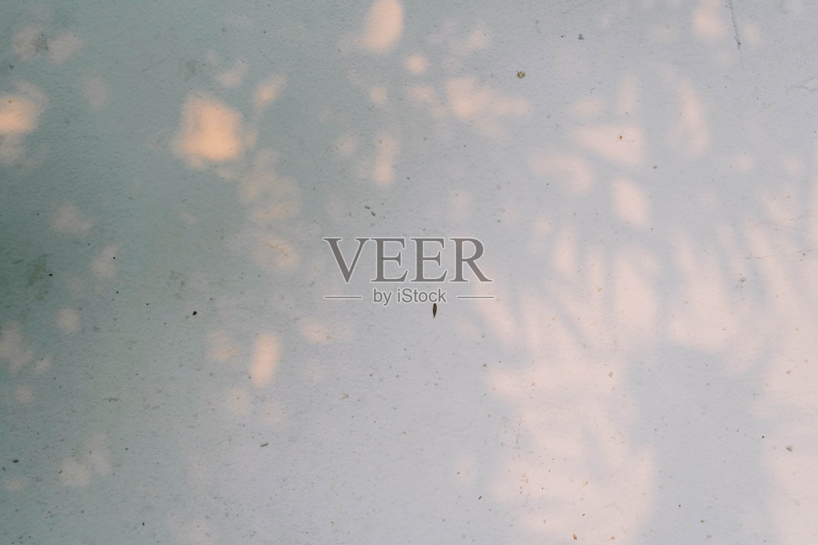 抽象剪影，树叶光影斑驳，阳光映照在白墙上照片摄影图片