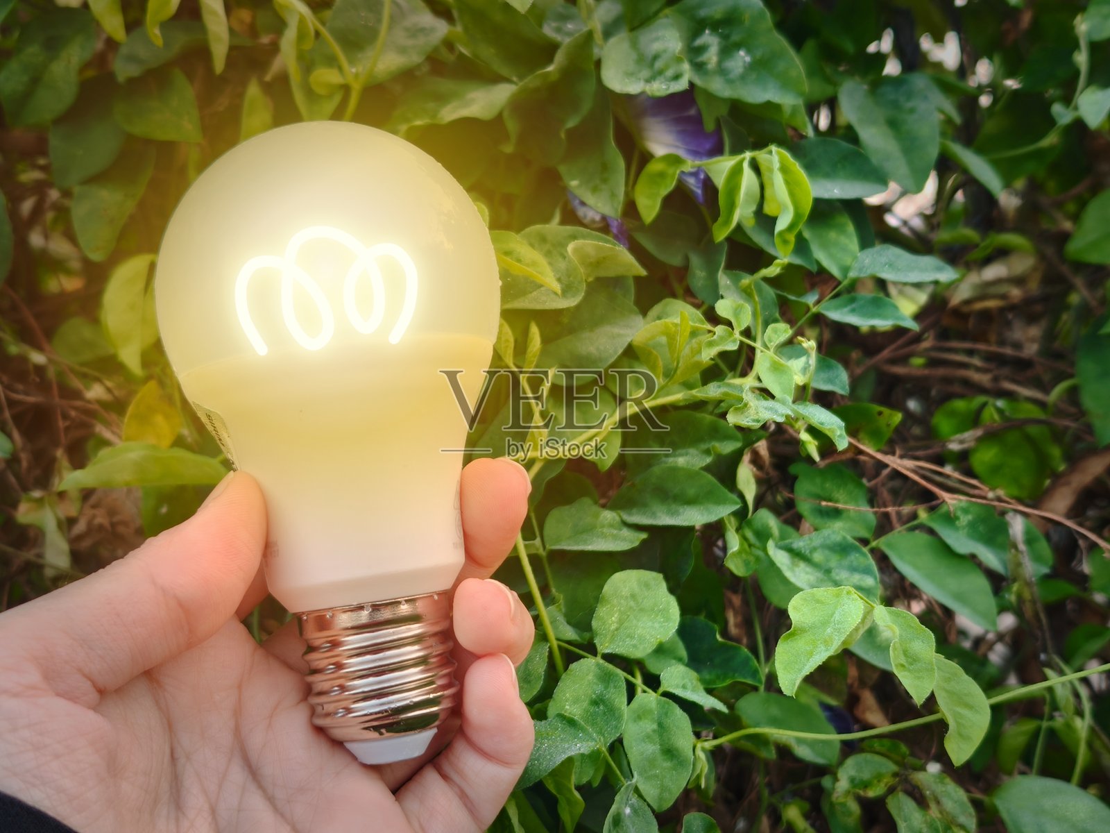 绿叶环绕的LED灯泡照片摄影图片