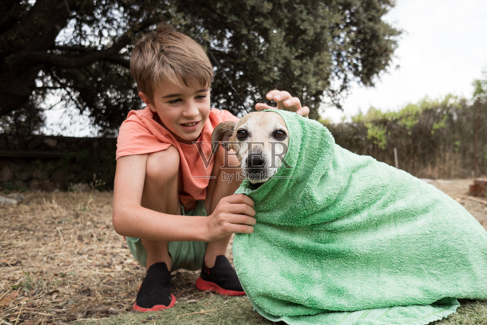 男孩在花园里洗完澡后，用绿色毛巾给他的狗擦干身体照片摄影图片