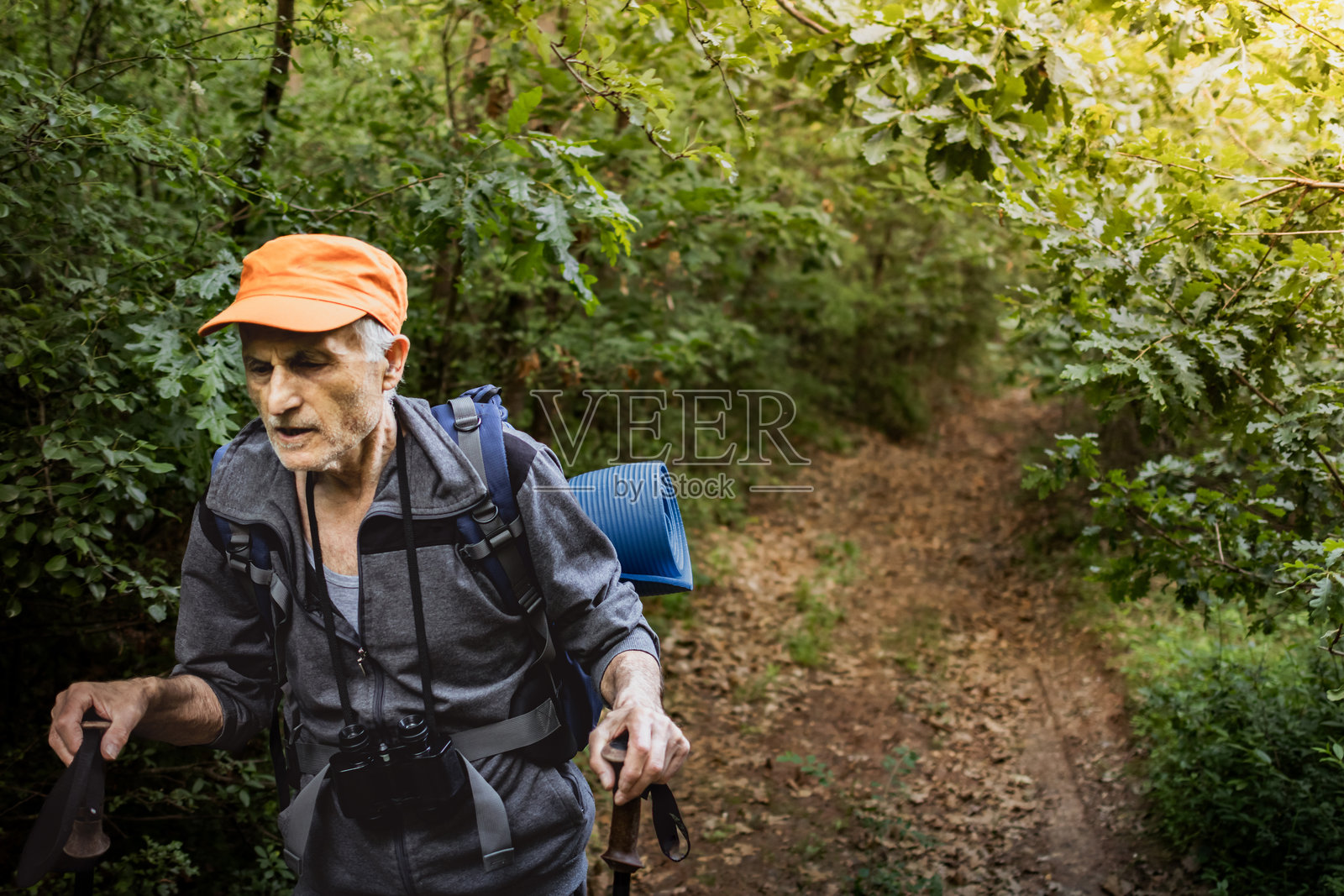 一位背着背包的老年观鸟者正在享受退休生活，徒步穿越大自然，使用登山杖和望远镜寻找稀有鸟类。照片摄影图片